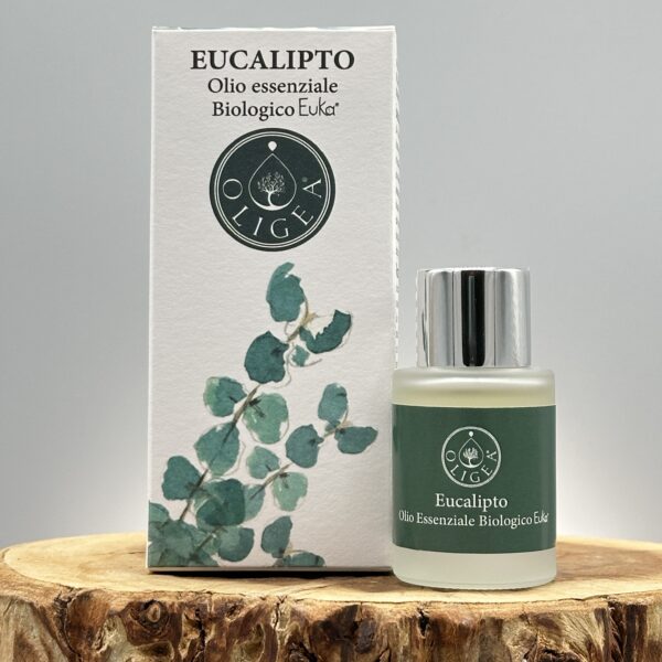 "Olio essenziale di eucalipto Oligea, azienda agricola biologica toscana di Massarosa (LU) per utilizzo cosmetico e aromaterapico"