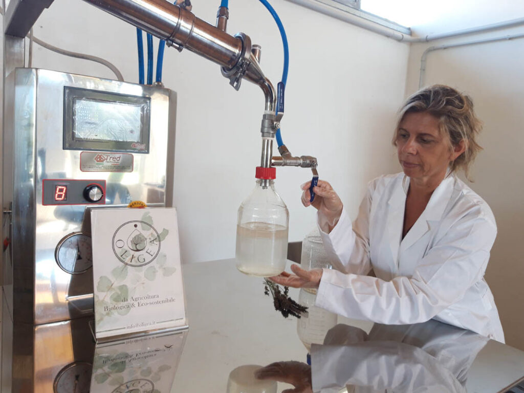 Elena Giannini mentre estrae oli essenziali Oligea al distillatore nei laboratori di Massarosa Lucca in Toscana