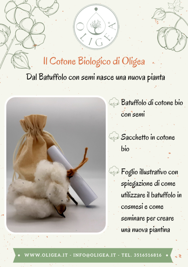 Batuffolo naturale con semi di cotone bio