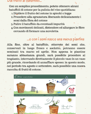 Batuffolo naturale con semi di cotone bio - immagine 3