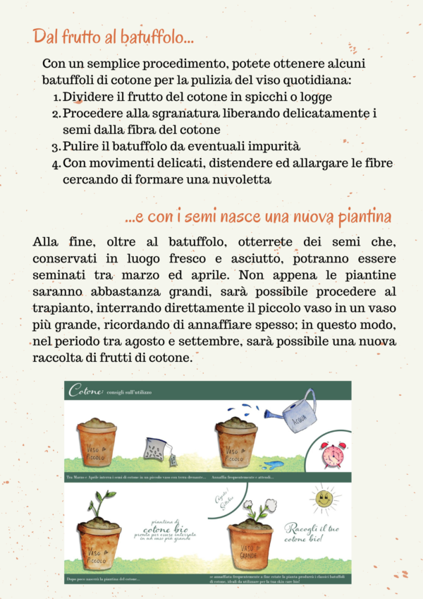 Batuffolo naturale con semi di cotone bio
