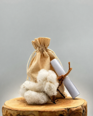 Batuffolo-naturale-con-semi-di-cotone-bio-azienda-agricola-biologica-oligea