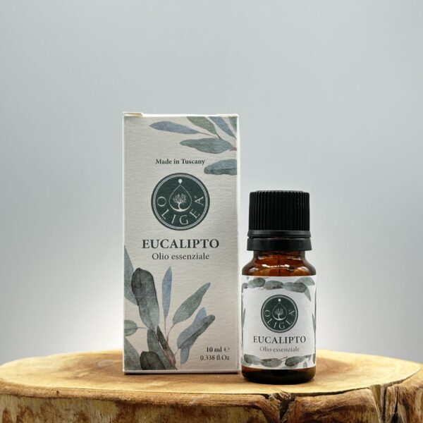 "Olio essenziale di eucalipto aromaterapia Oligea, azienda agricola biologica toscana a Massarosa (LU). "