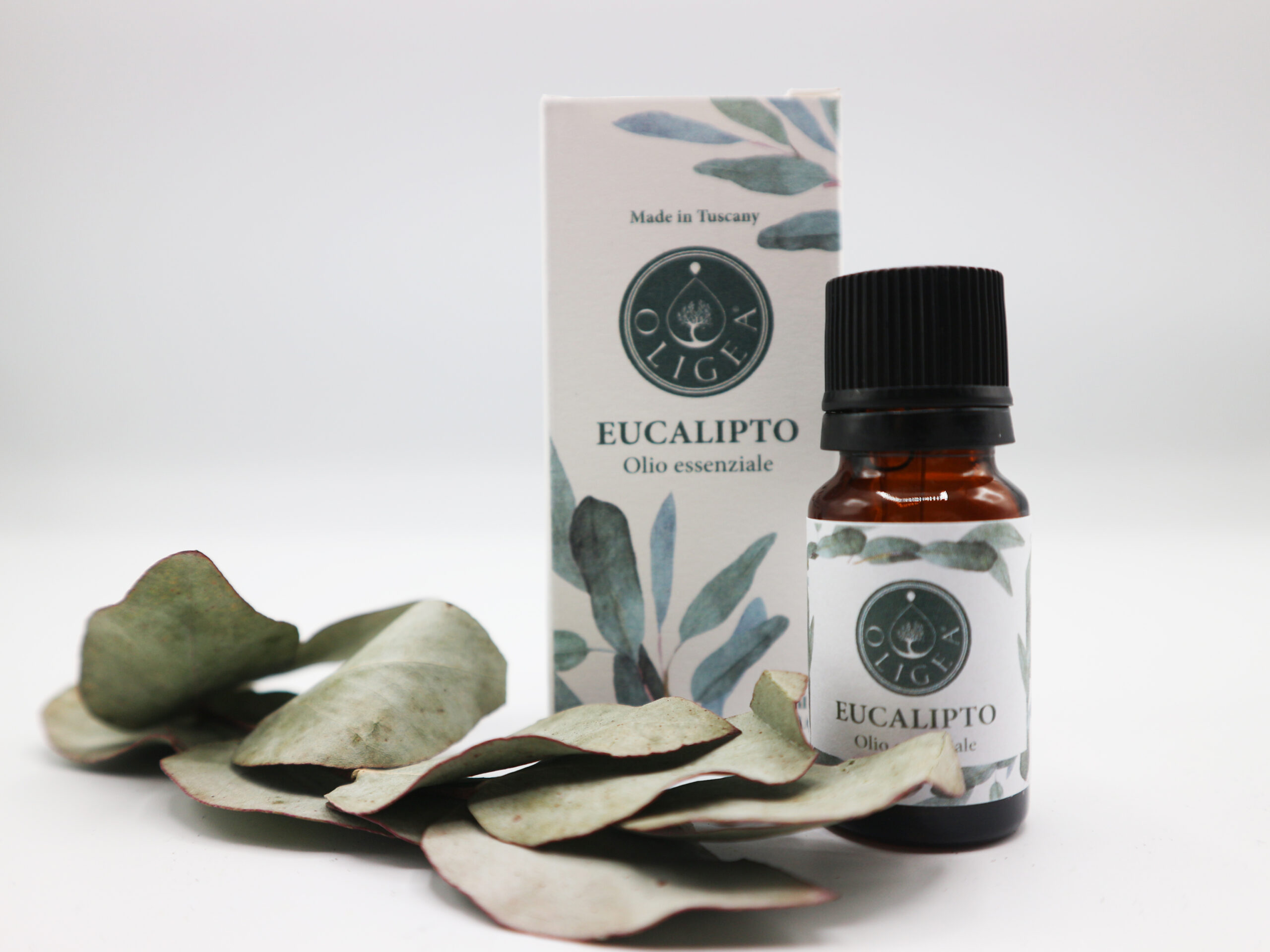 Olio essenziale di eucalipto – aromaterapia