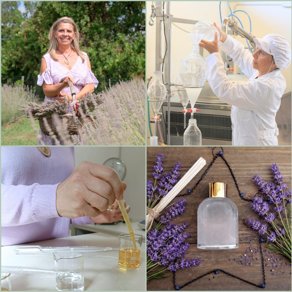 Filiera-Profumatore-Ambiente-Bastoncini-Armonia-Melogranoantico-bioprofumeria-Oligea azienda agricola di Massarosa LU