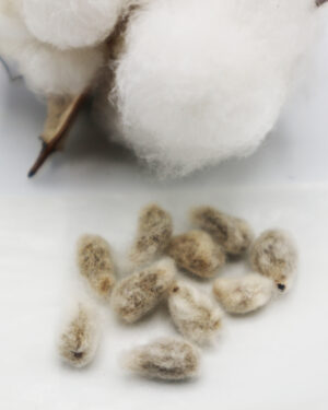 Batuffolo naturale con semi di cotone bio - immagine 7
