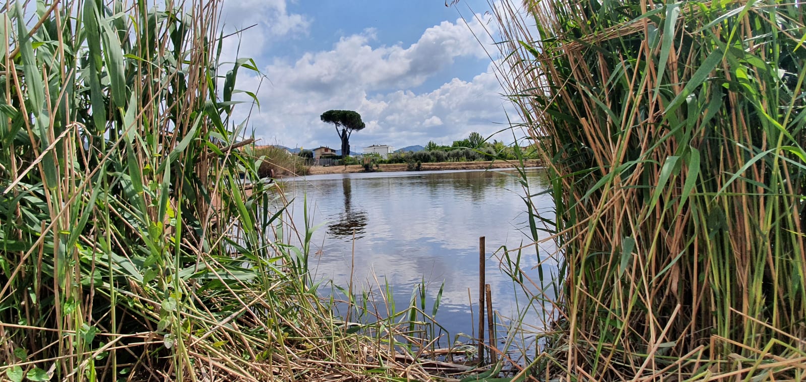 il laghetto di manipura oligea