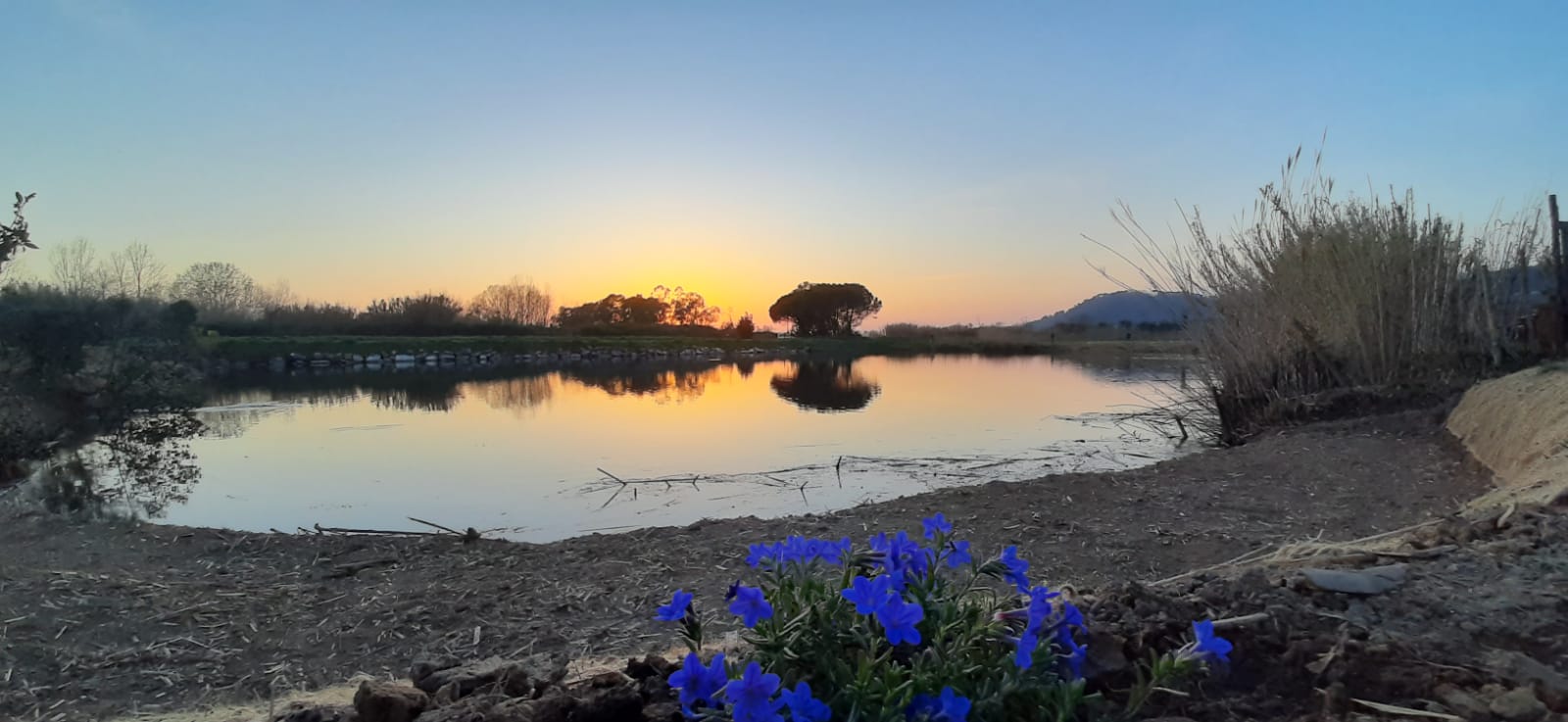 il laghetto di manipura oligea