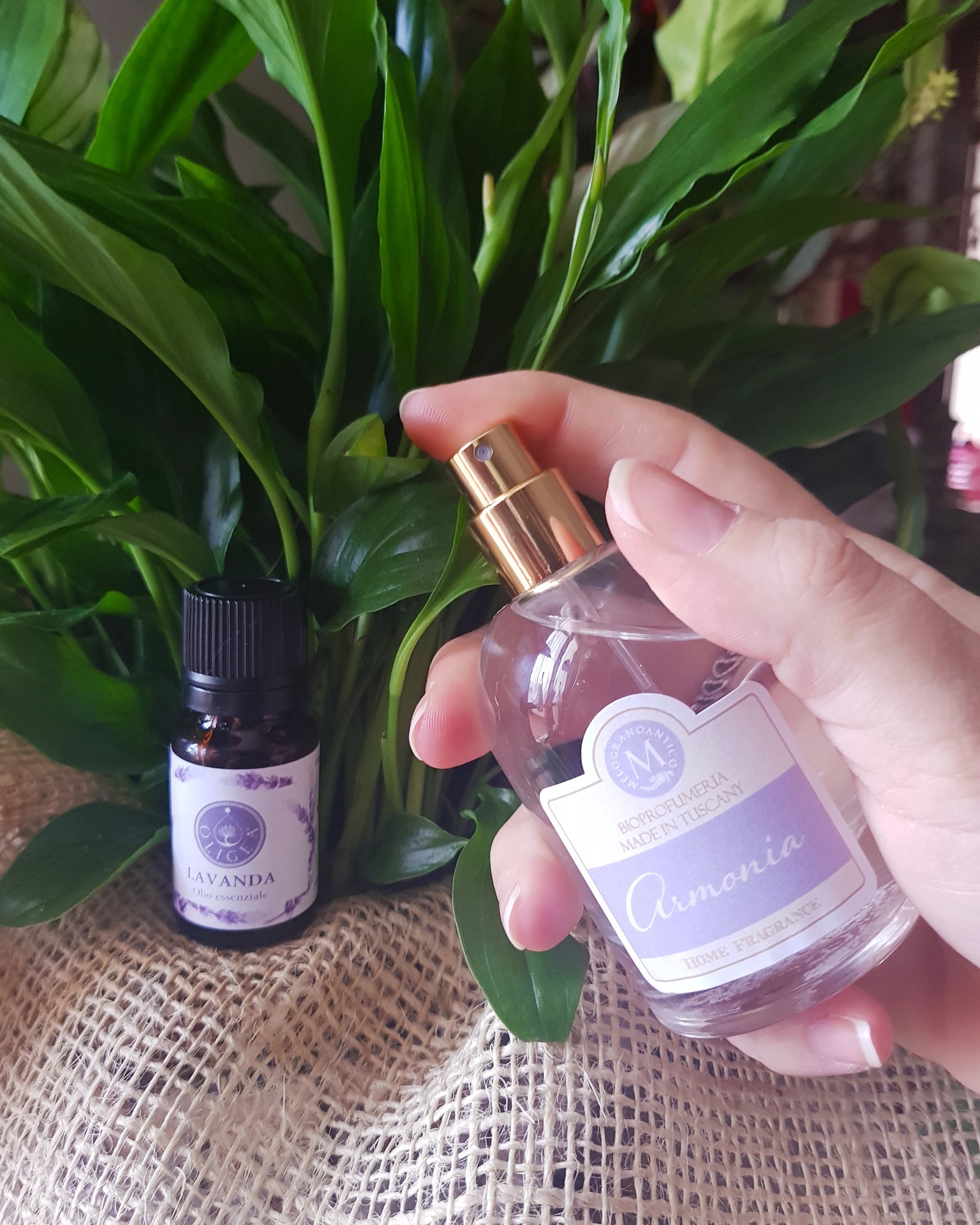 Armonia della Natura - Idea Regalo Melogranoantico Bioprofumeria – Oligea