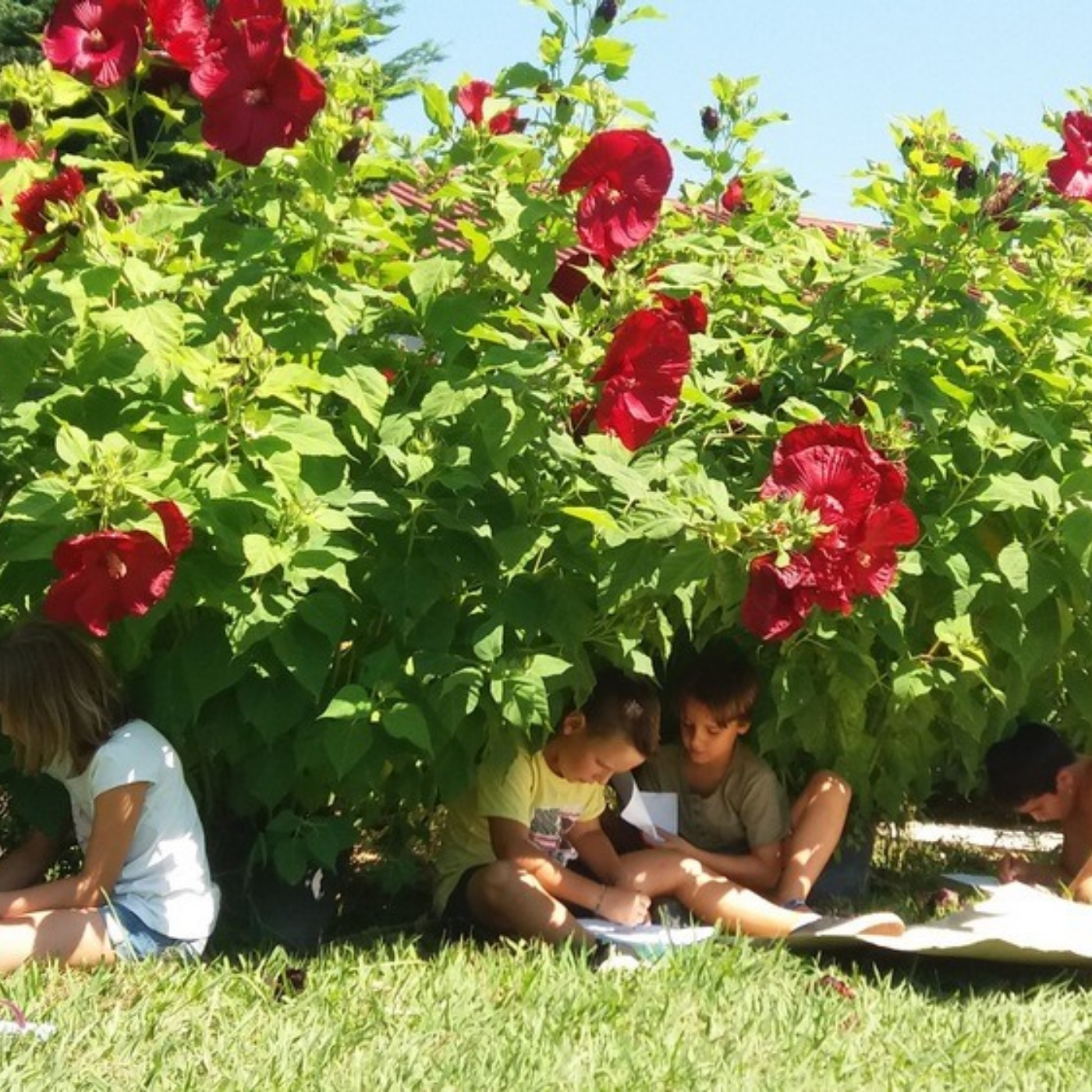 Una giornata nella natura al Giardino di Manipura (3)