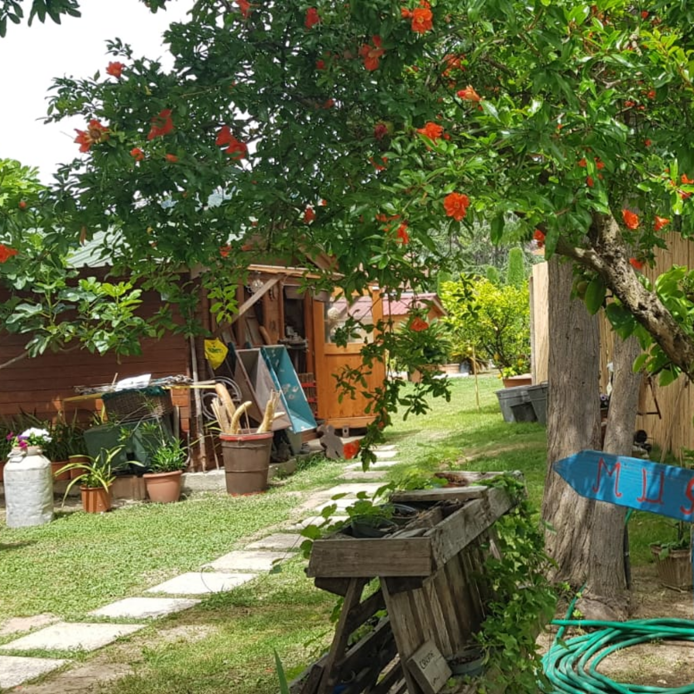 Una giornata nella natura al Giardino di Manipura (4)