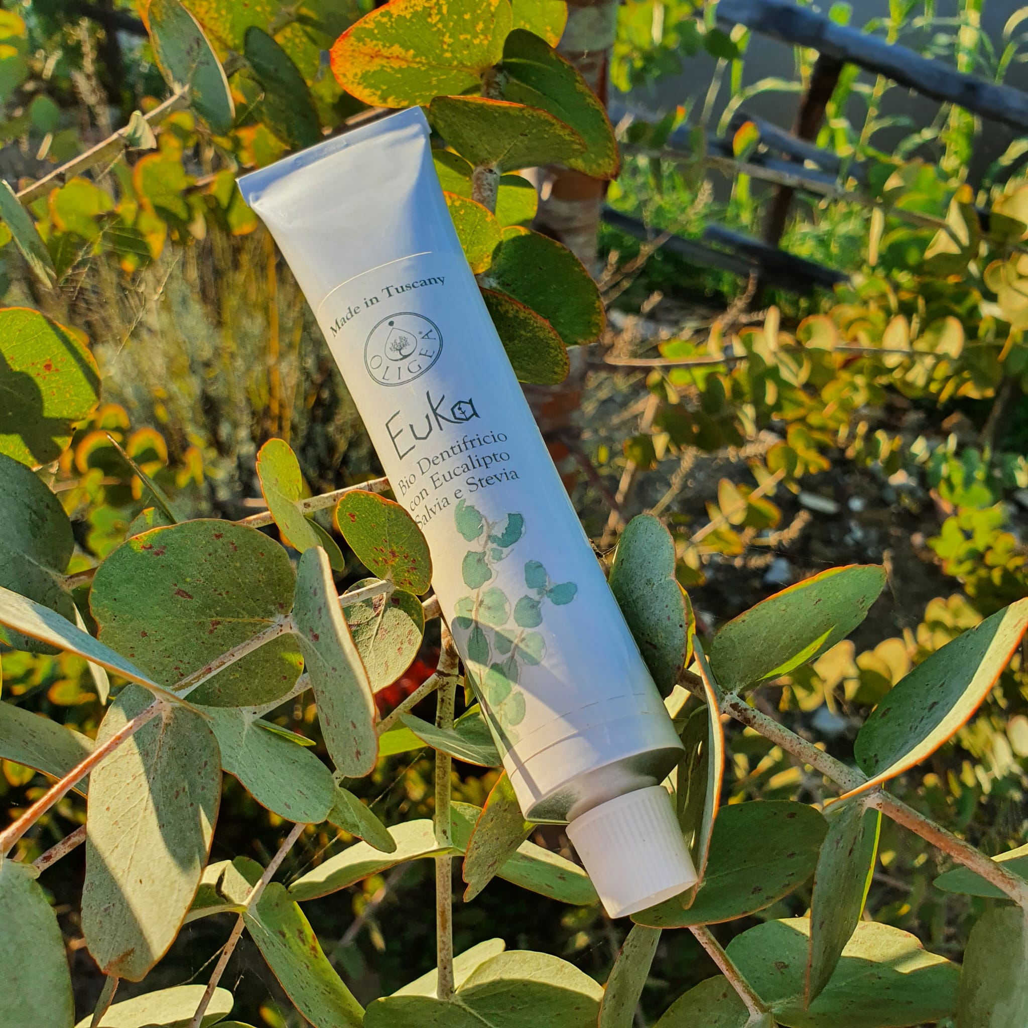 Dentifricio bio naturale Euka - Oligea azienda agricola di Massarosa LU