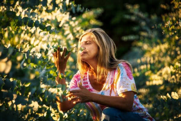 elena giannini nei terreni oligea per la coltivazione di eucalipto biologico in toscana