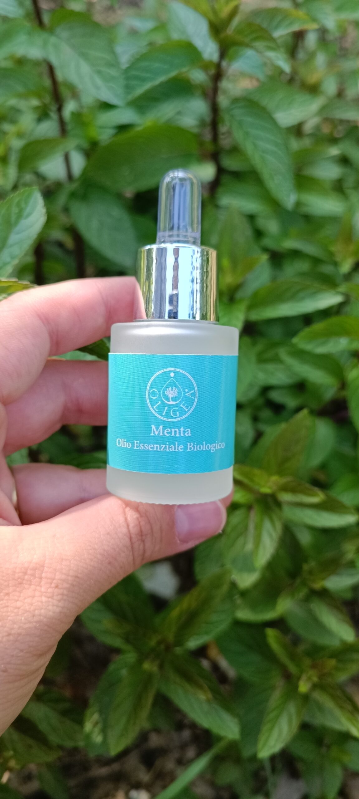 Olio Essenziale di Menta Biologico 15 ml – Oligea - immagine 2