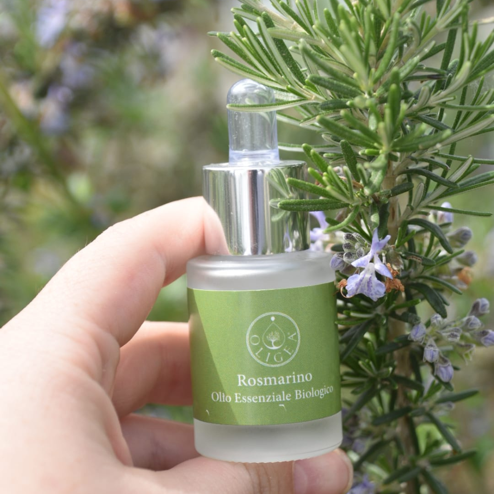 Olio Essenziale di Rosmarino Biologico 15 ml - Oligea - immagine 2