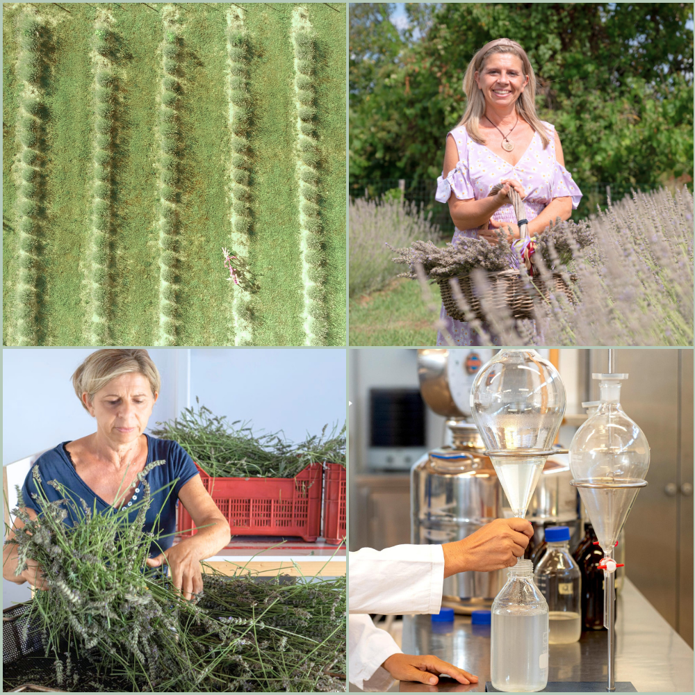 "Idrolato di lavanda biologica - Tonico viso naturale Oligea Tonico viso naturale a base di lavanda biologica toscana, pura e distillata nei laboratori Oligea a Massarosa (LU)."