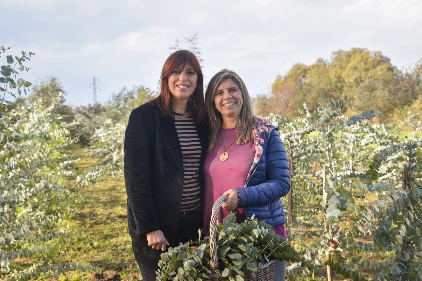 Oligea a Linea Verde Life su Rai1: dai campi agli oli essenziali fino alla stampa botanica con eucalipto