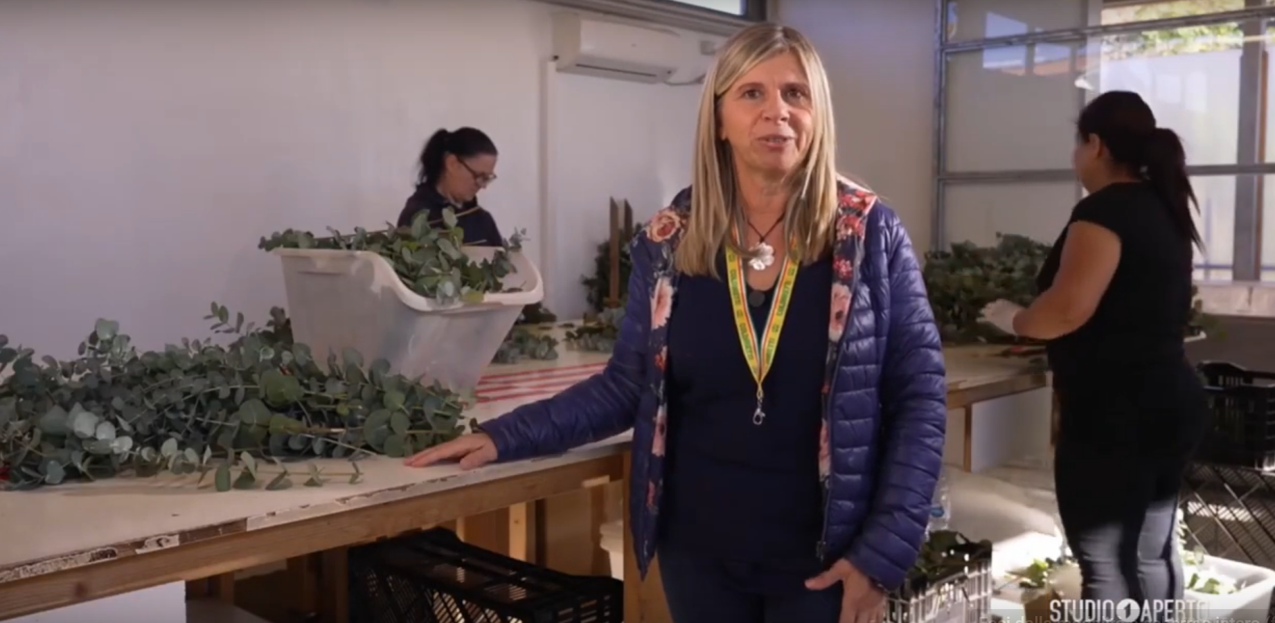 Oligea in tv a Studio Aperto su Italia Uno per raccontare la filiera dell’eucalipto bio made in Tuscany