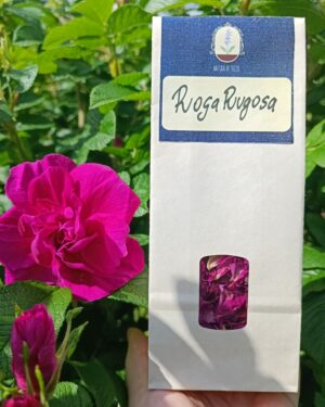 Petali di Rosa Essiccati – Oligea (1)