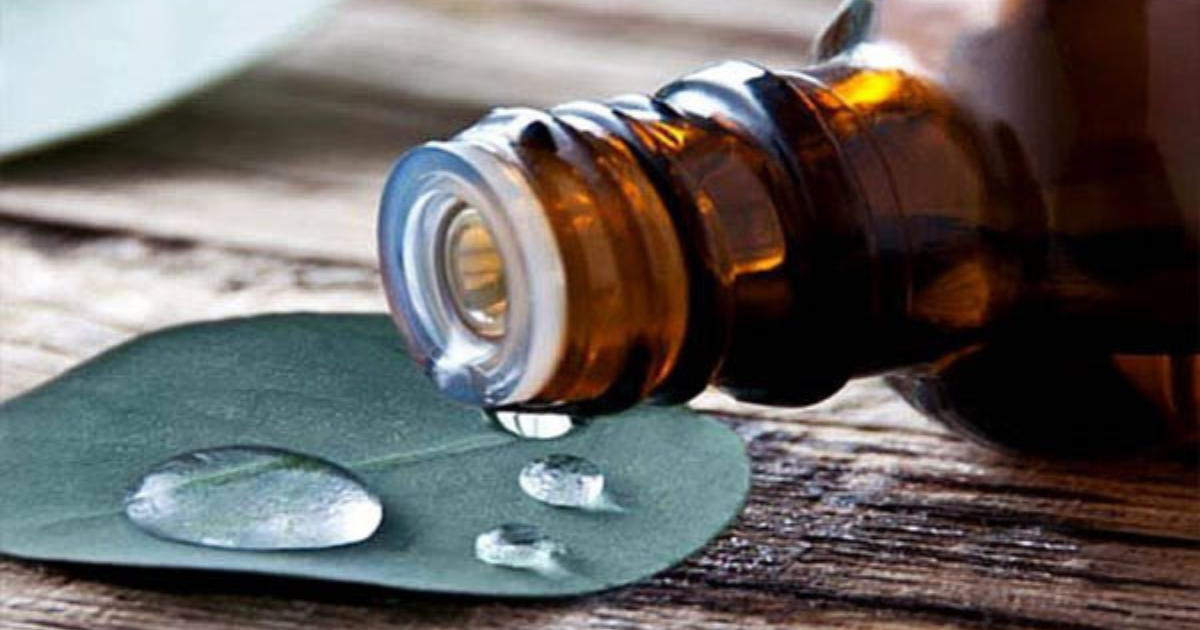 Oli Essenziali Benefici e Come Usarli per il Benessere Naturale