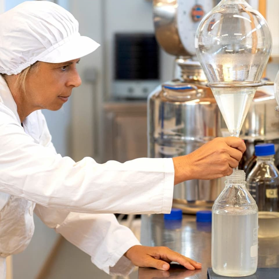 elena giannini estrazione in corrente di vapore degli oli essenziali biologici italiani oligea nei laboratori di Massarosa (2)