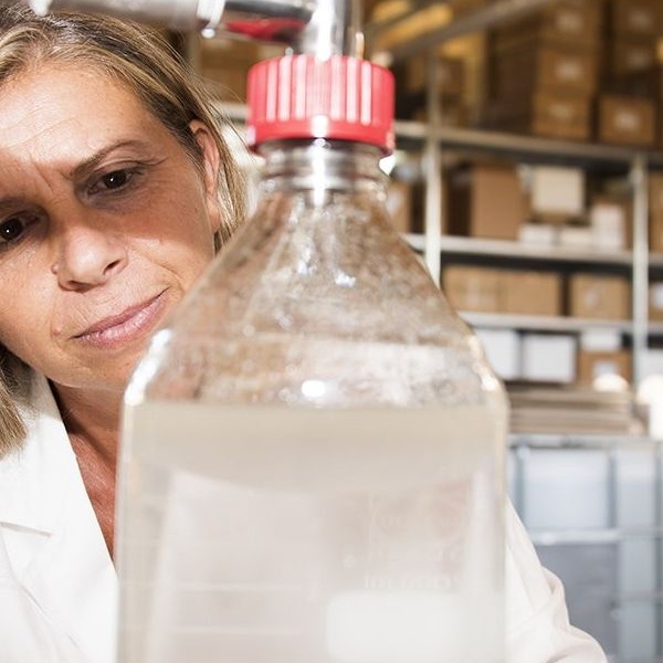 elena giannini estrazione in corrente di vapore degli oli essenziali biologici italiani oligea nei laboratori di Massarosa (2)